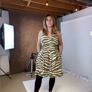 Banana Republic Zebra Print Mini Dress